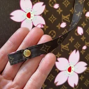 Louis Vuitton | Accessories | Louis Vuitton Takashi Murakami